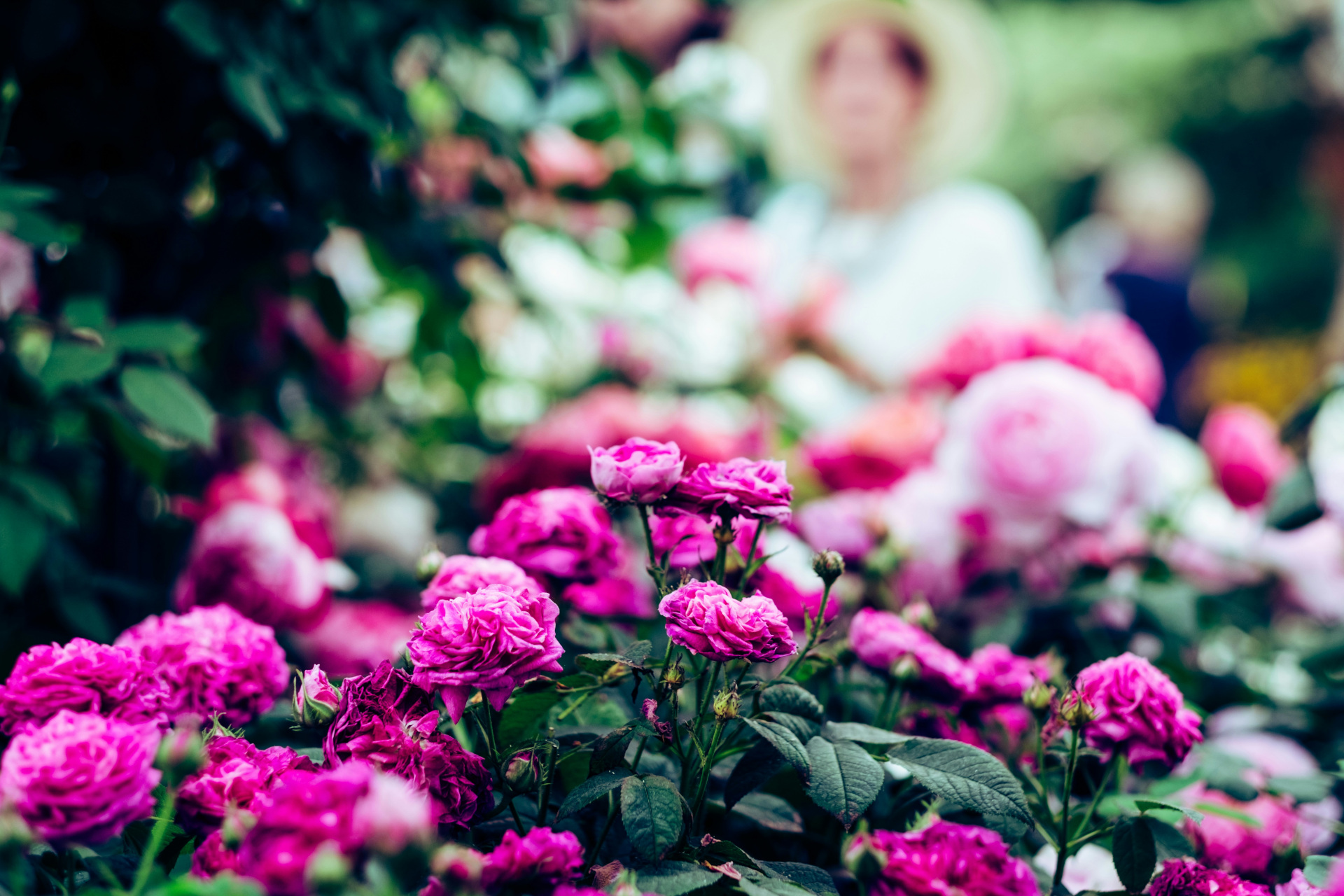 Blooming Lovely Outfit Ideas For Chelsea Flower Show: The Pre-Loved Fashion Guide