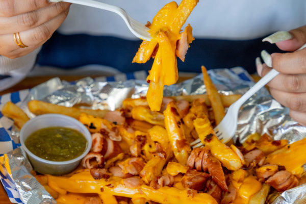 Animal style fries