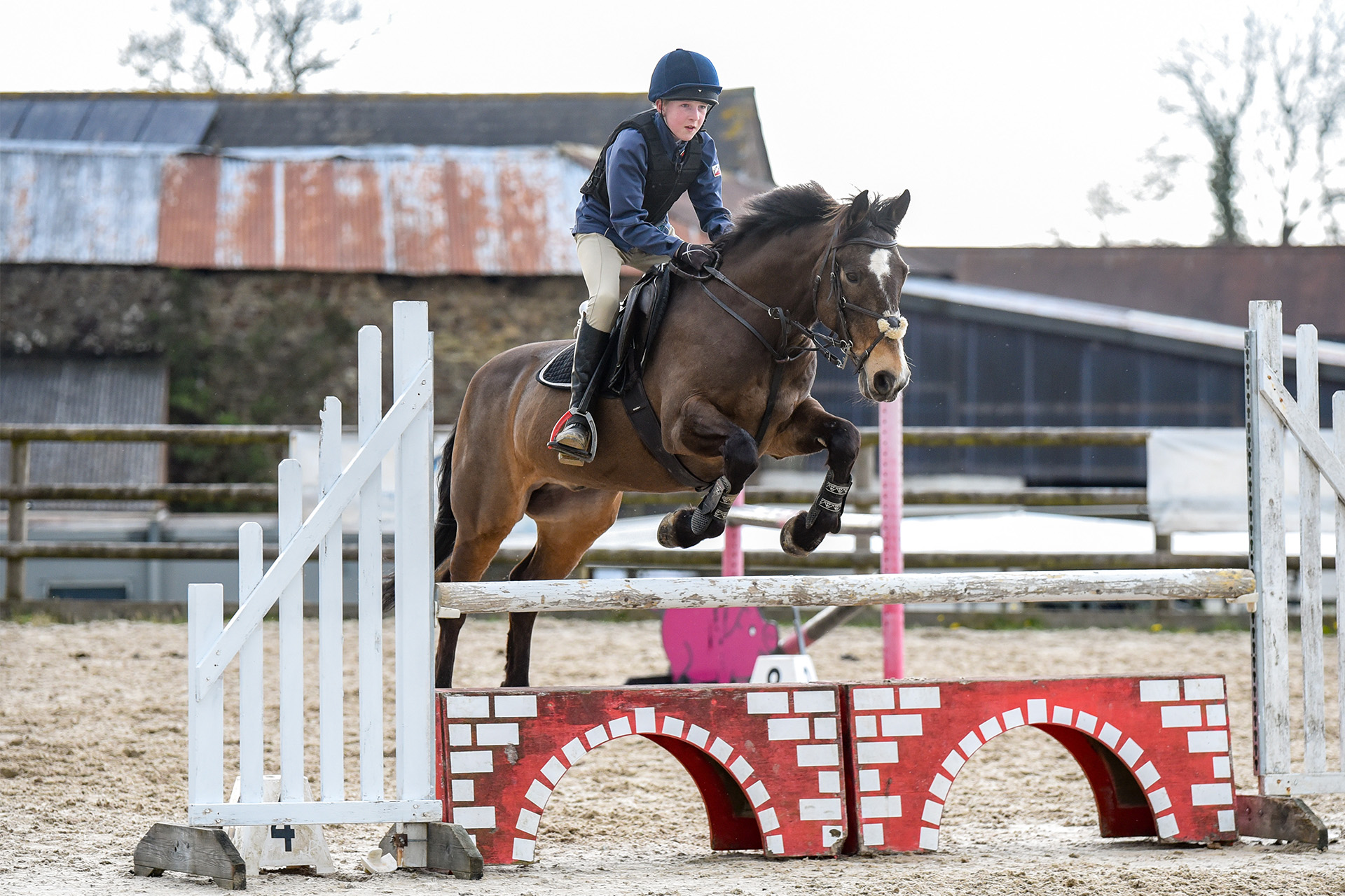 MVA Showjumper, William Eustace (Photographer: Rob Bayes)