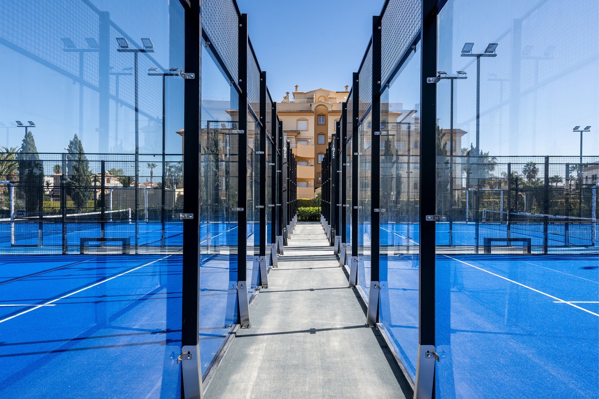 Padel courts with palm trees in the background.