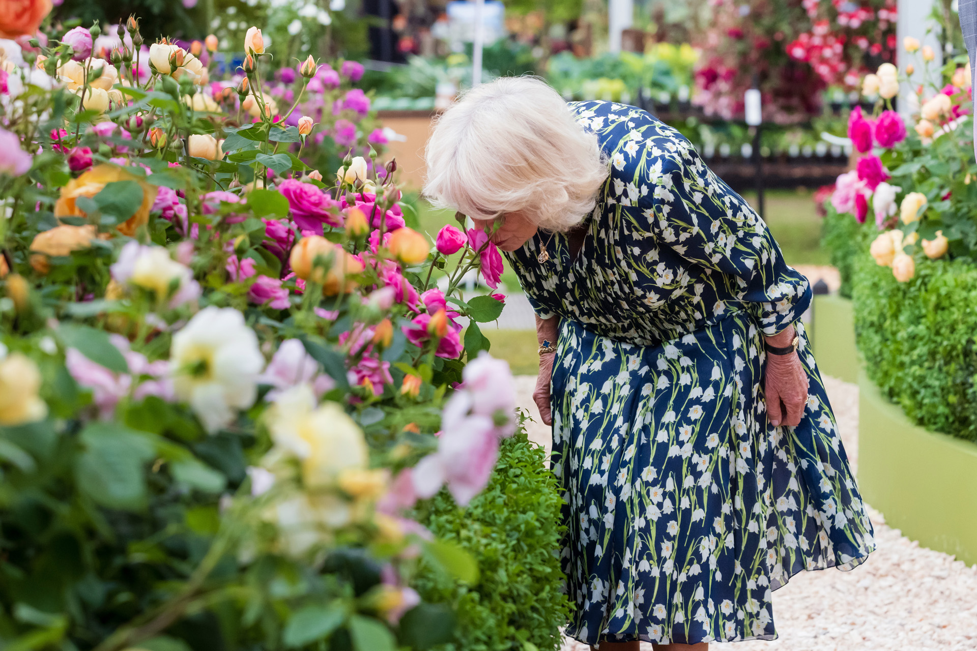 Queen Camilla visits Chelsea Flower Show 2023