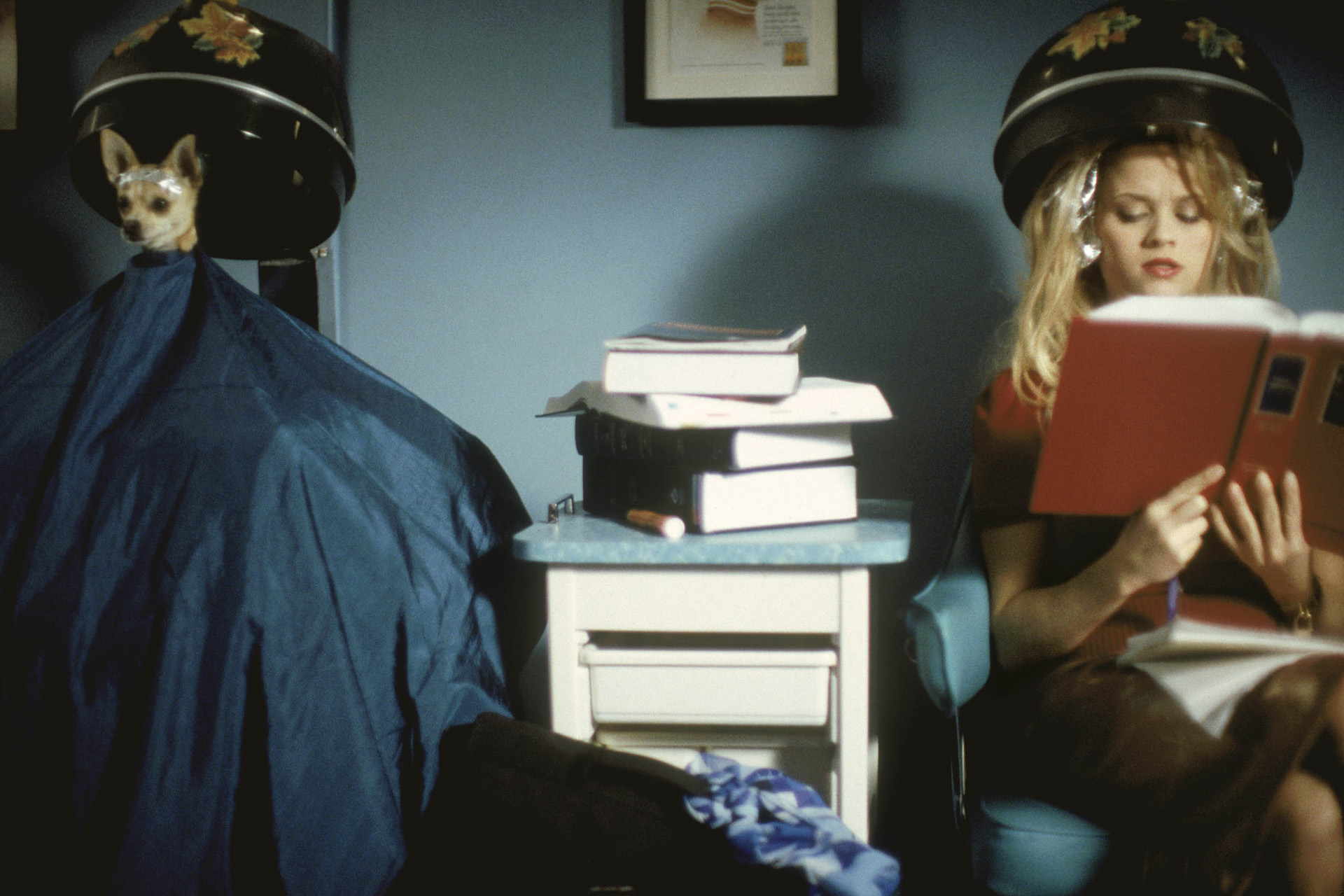 Elle and Bruiser getting hair treatments in Legally Blonde