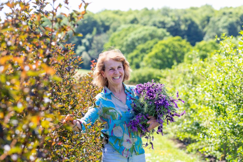 Rosebie Morton picking lavender