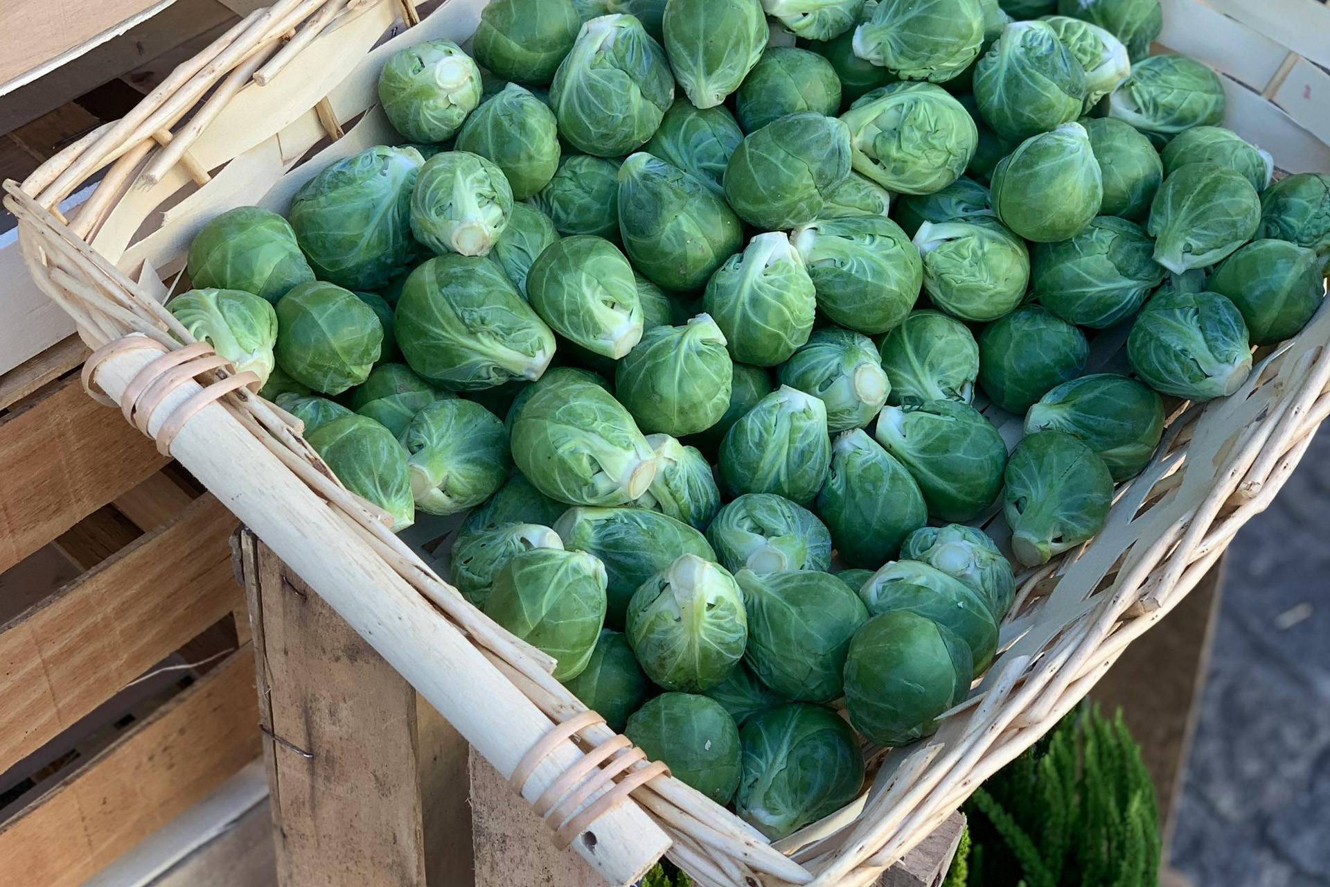 Brussels sprouts in a basket