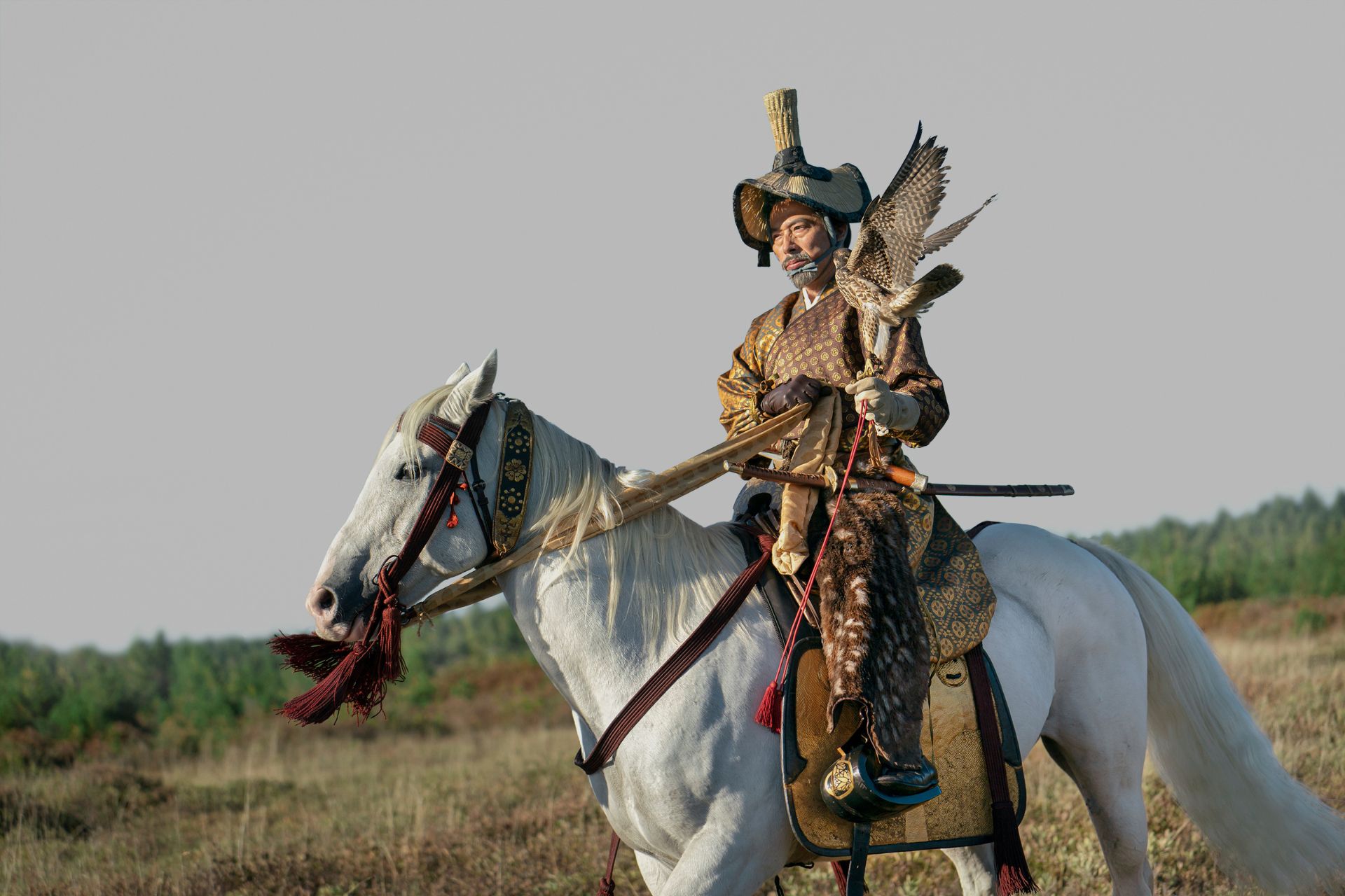 Samurai solder on a grey horse, dressed in traditional winged armour.