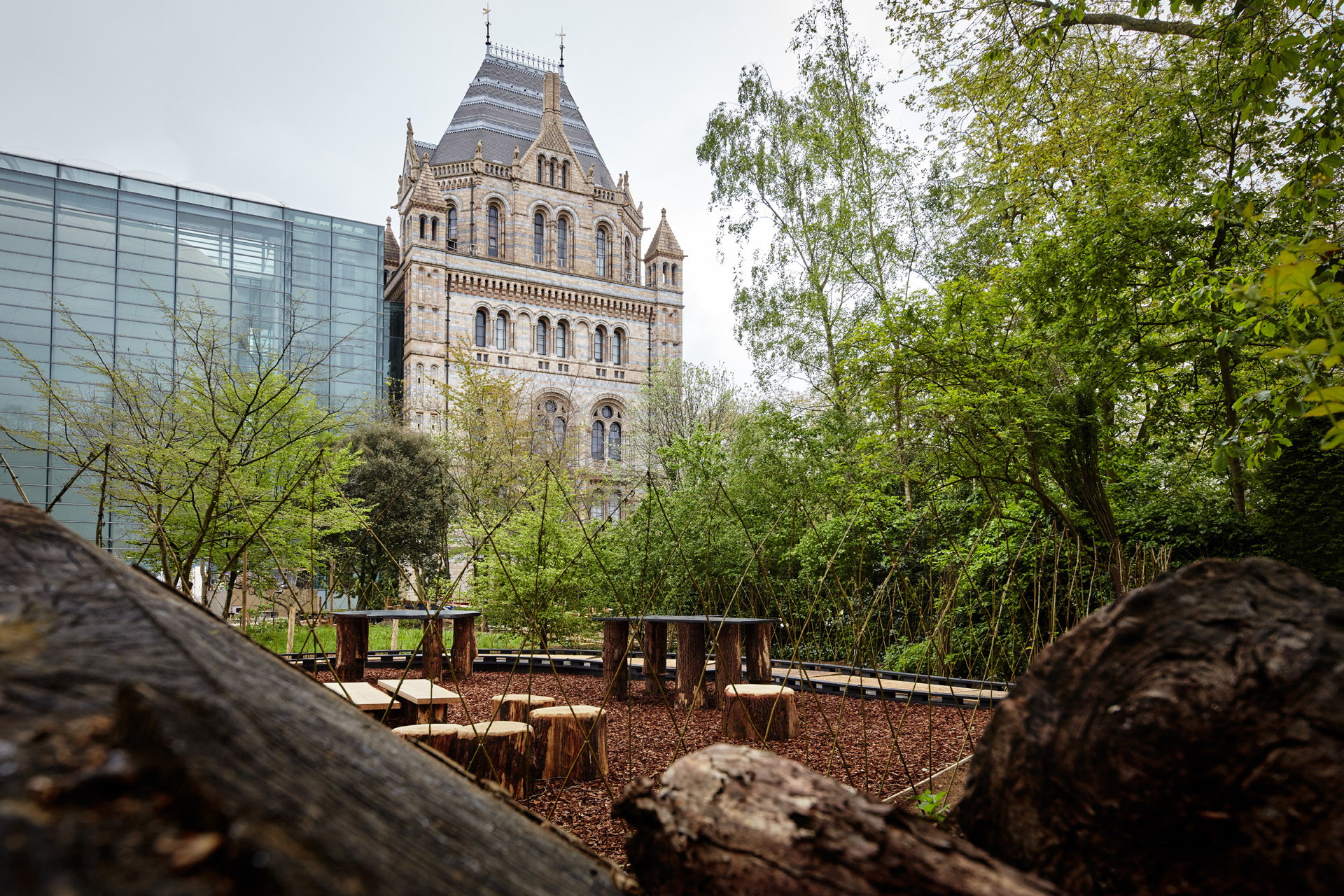 The Natural History Museum’s newly transformed gardens will provide visitors with a new outdoor space to rest, relax and connect with nature