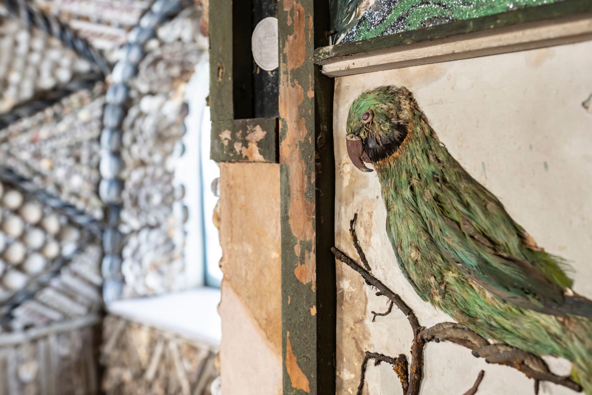 Close-up shot of the La Ronde shell gallery, with a green parrot engraving