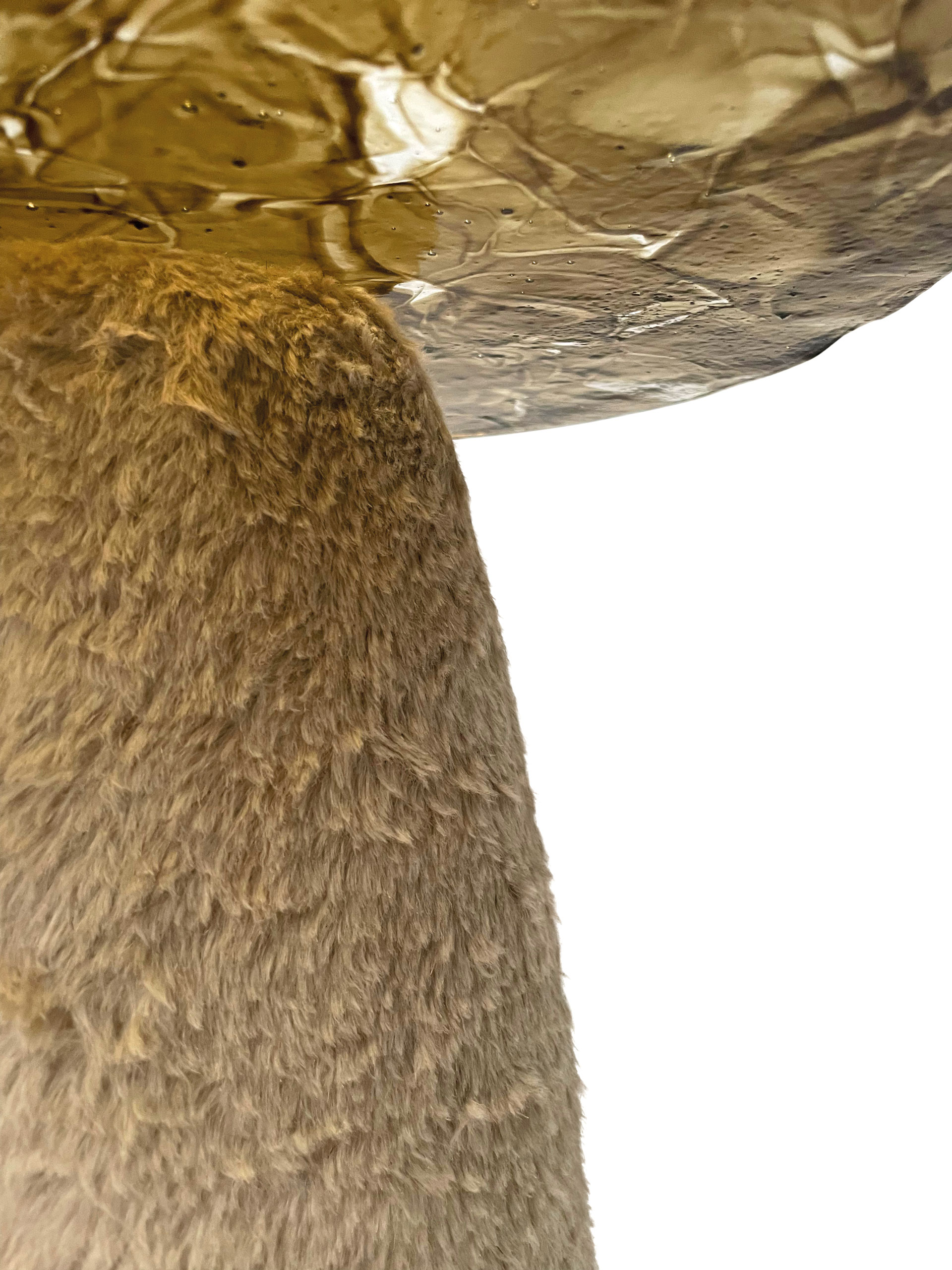 A close up image of a biofluff table
