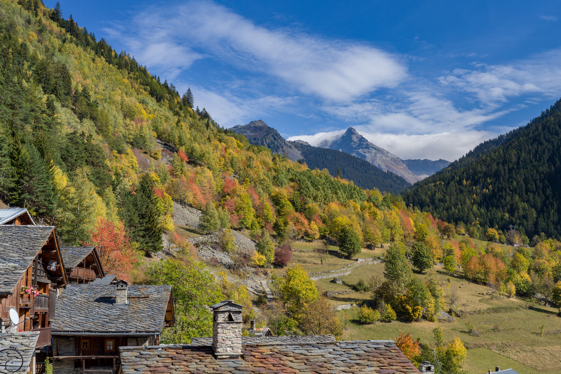 French Alps in the summer