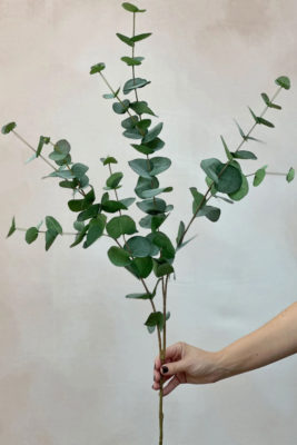 Faux Green Eucalyptus