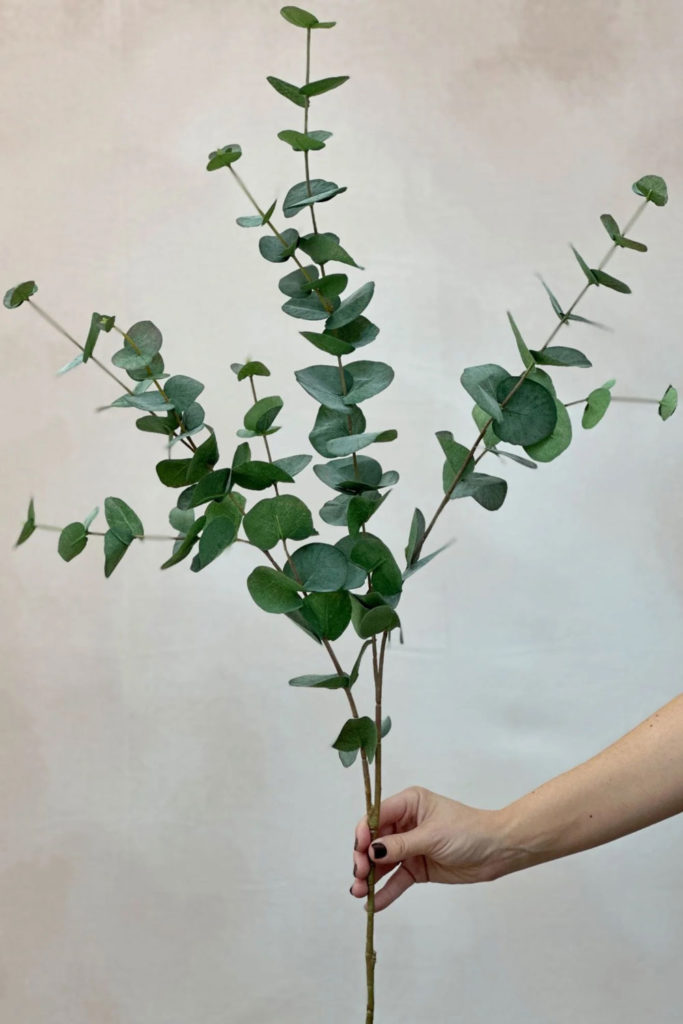 Faux Green Eucalyptus