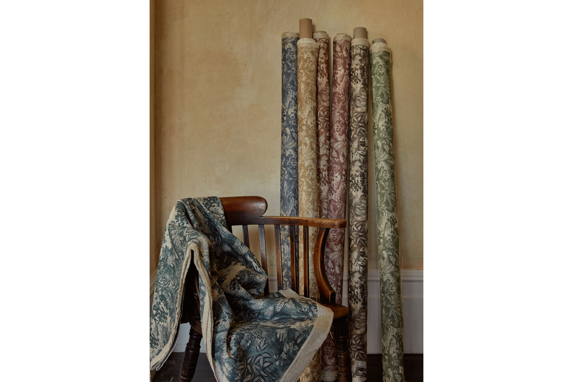 Ferns Toile