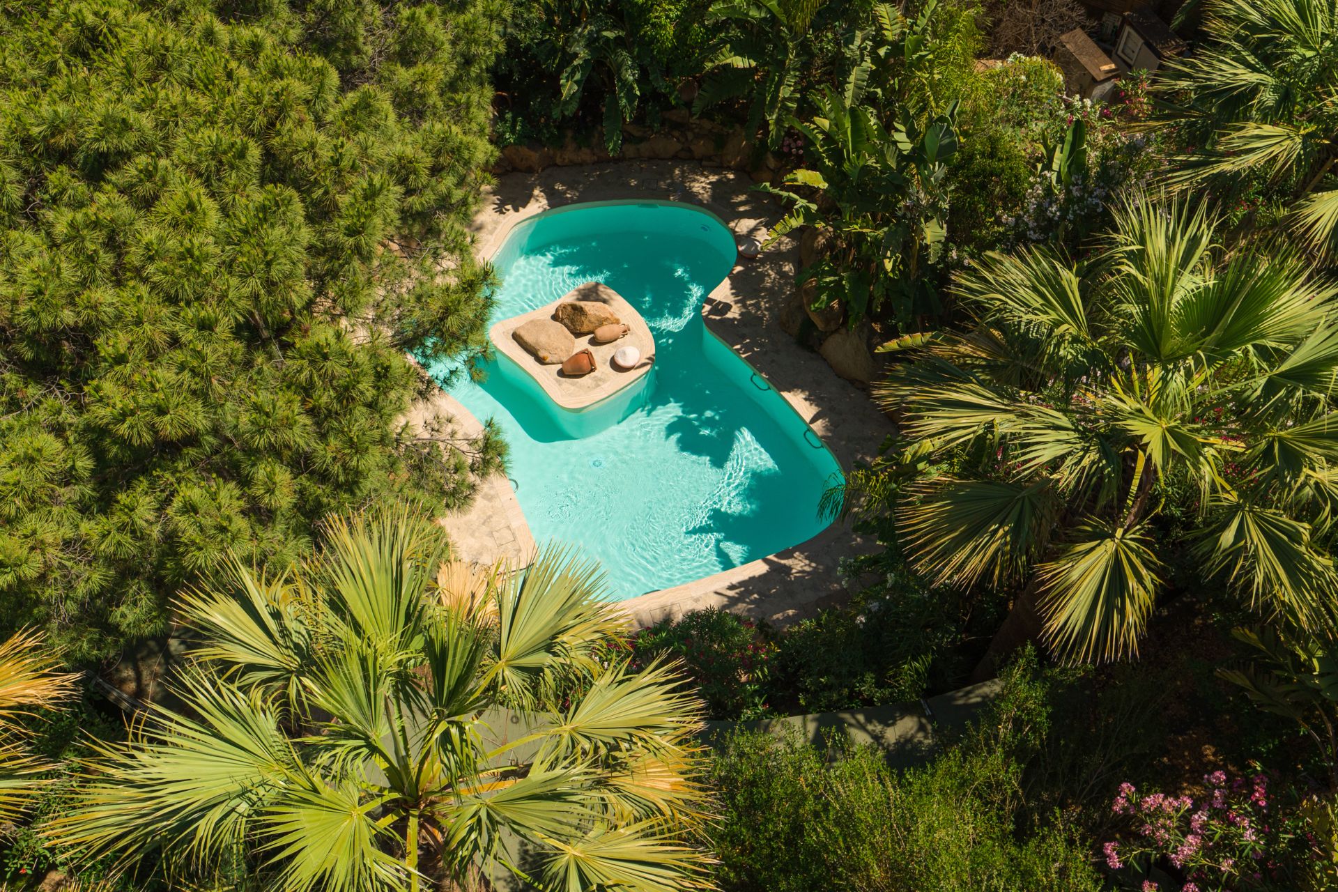 Aerial view of swimming pool surrounded by trees
