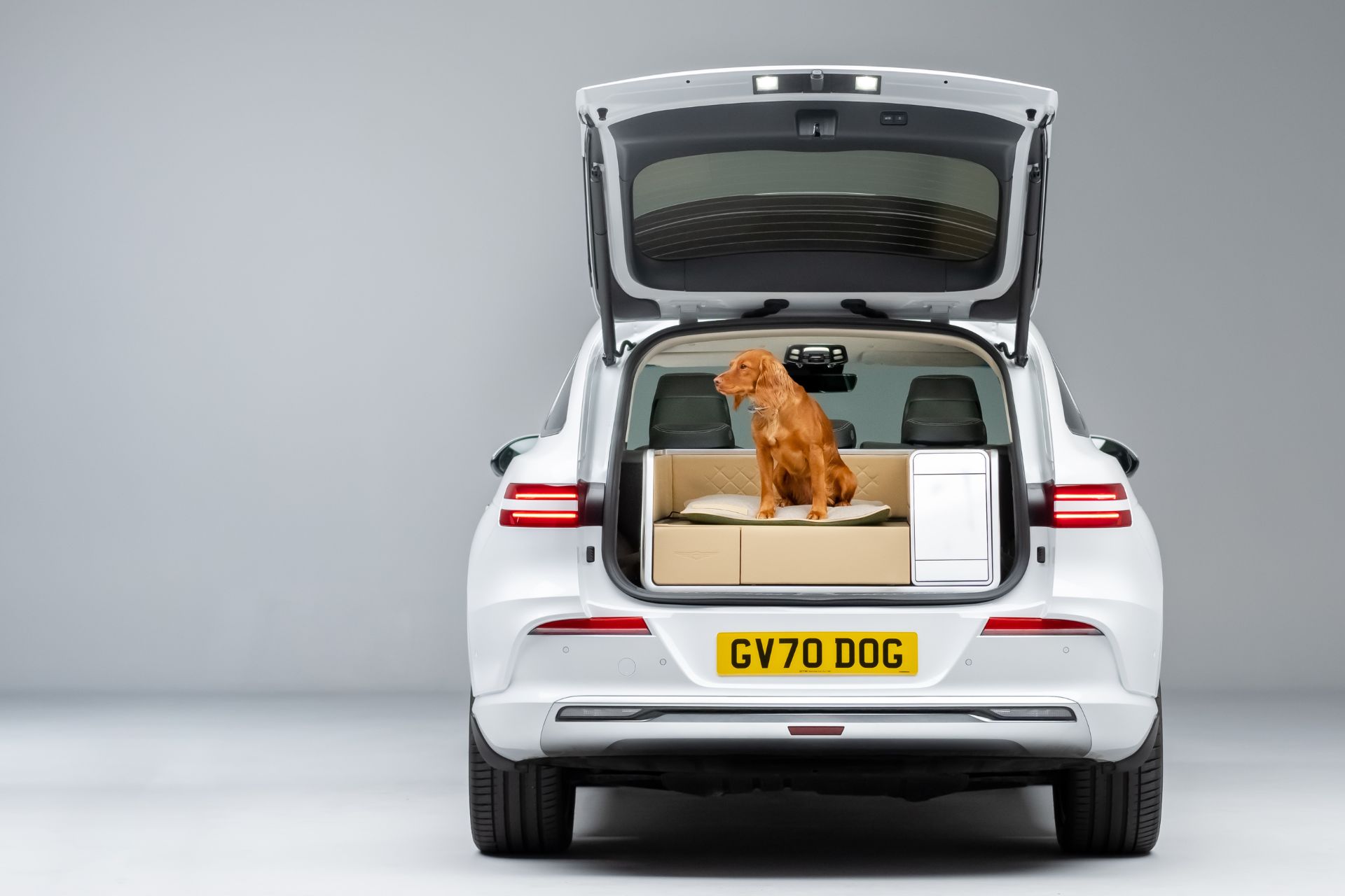 Is This The Best Dog-Friendly Car Around?