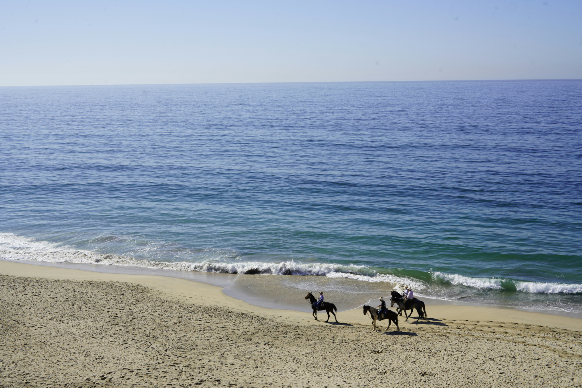 People horse riding on beach