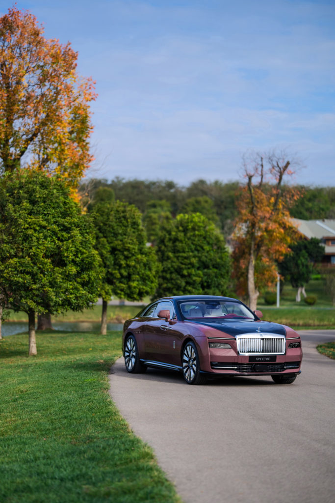 The Rolls Royce Spectre beside grass