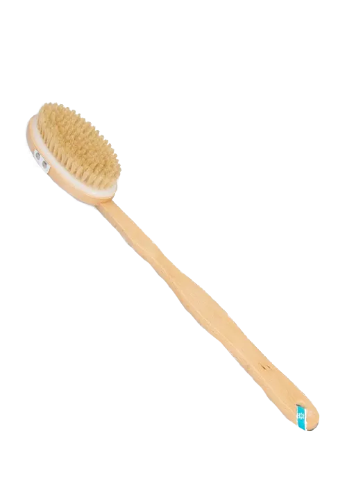 Long handle body brush