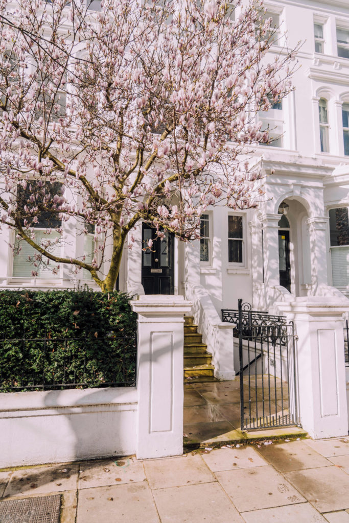 A white house during spring in London