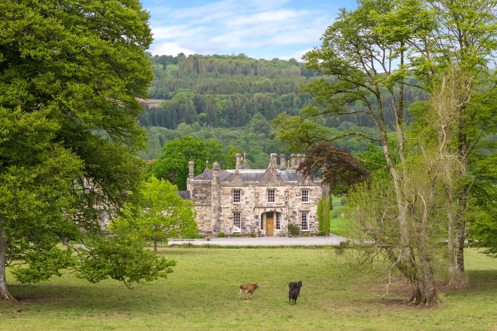Front view of Fortwilliam House, with farm animals grazing