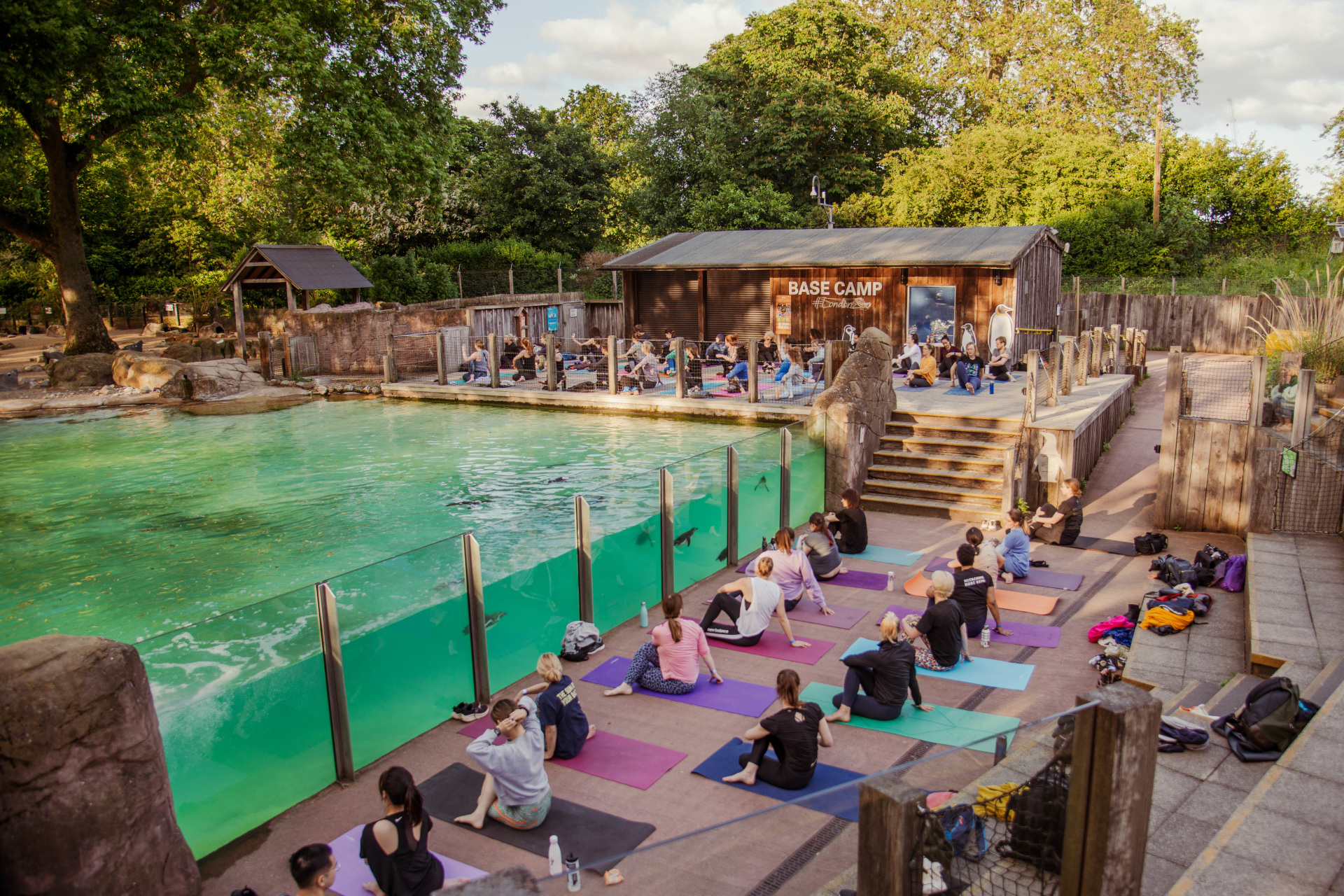 Yoga class at London Zoo with the penguins