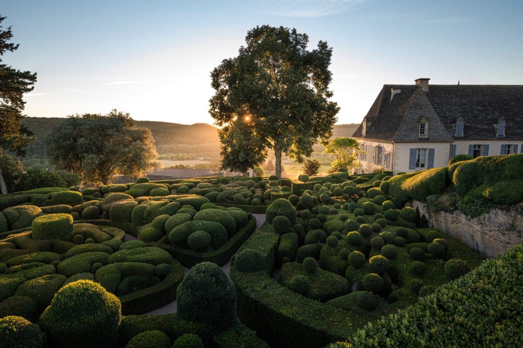 Photo of a landscaped garden in the morning sunlight