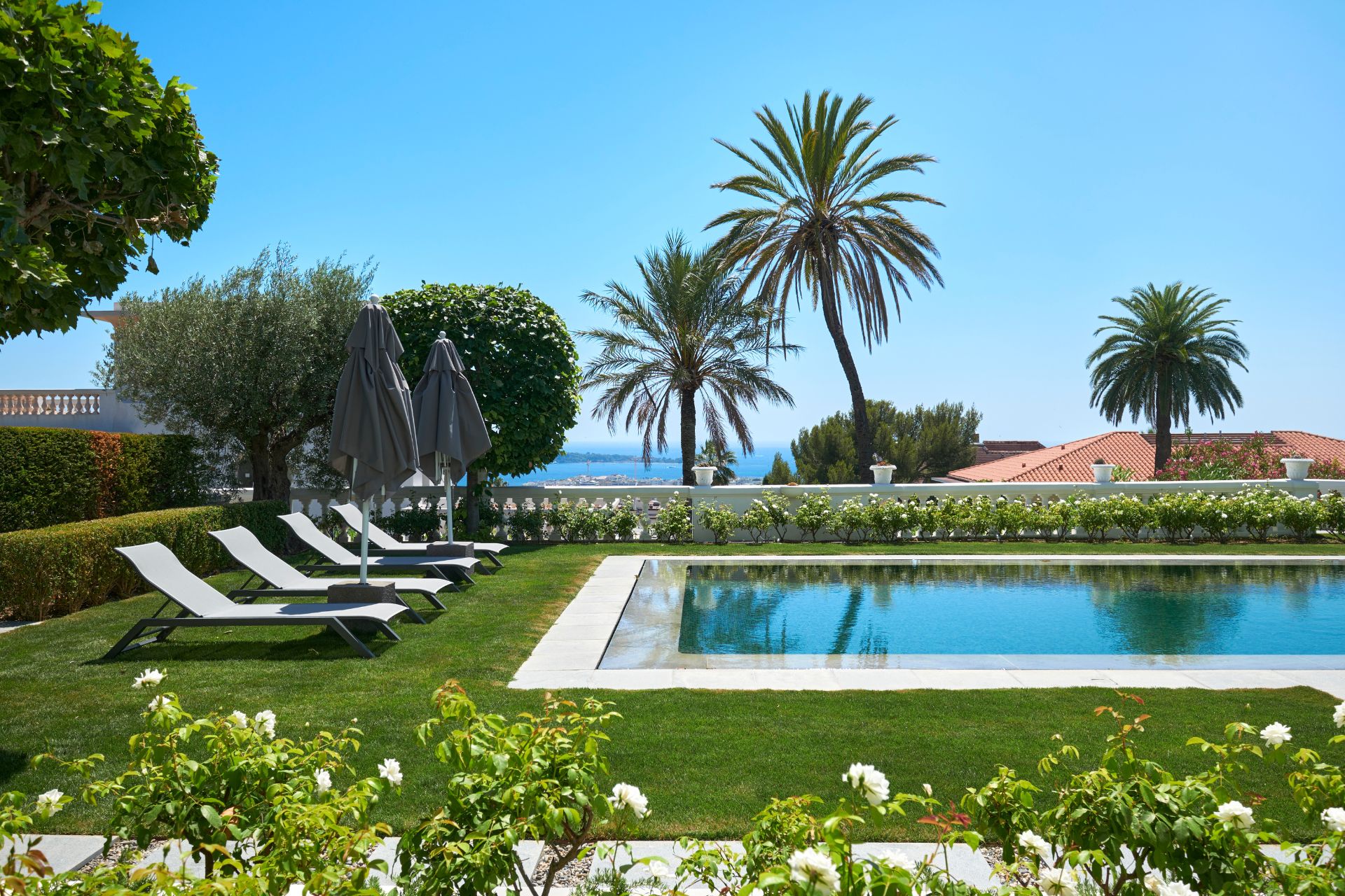 Outdoor pool with sun loungers and palm trees