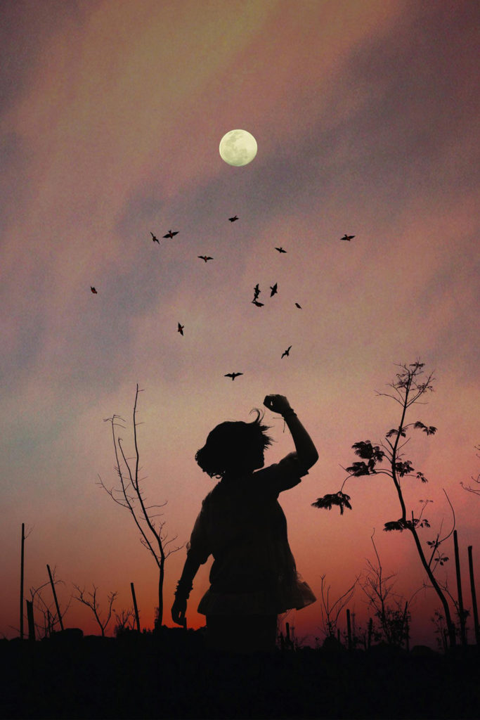 A full moon in the sky, with a silhouette in the foreground