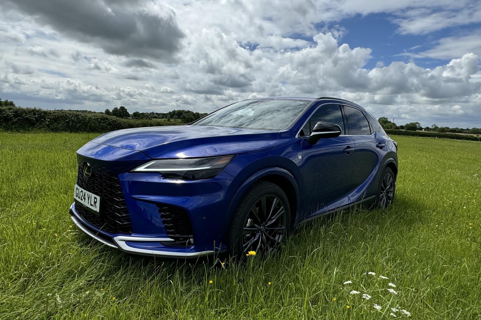 The Lexus in a field
