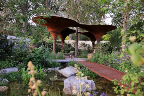 The WaterAid Garden at RHS Chelsea