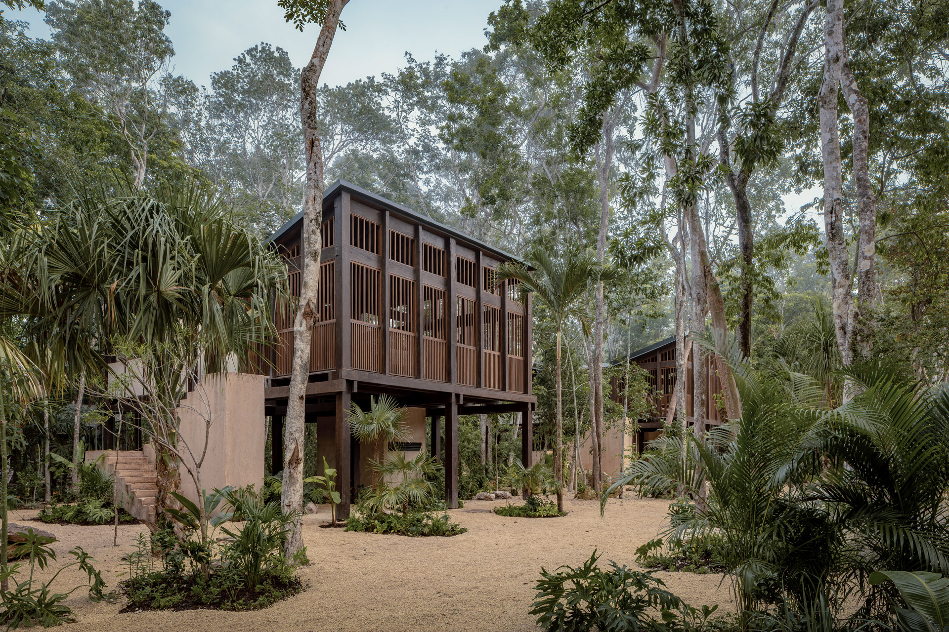 Treehouse at Boca De Agua