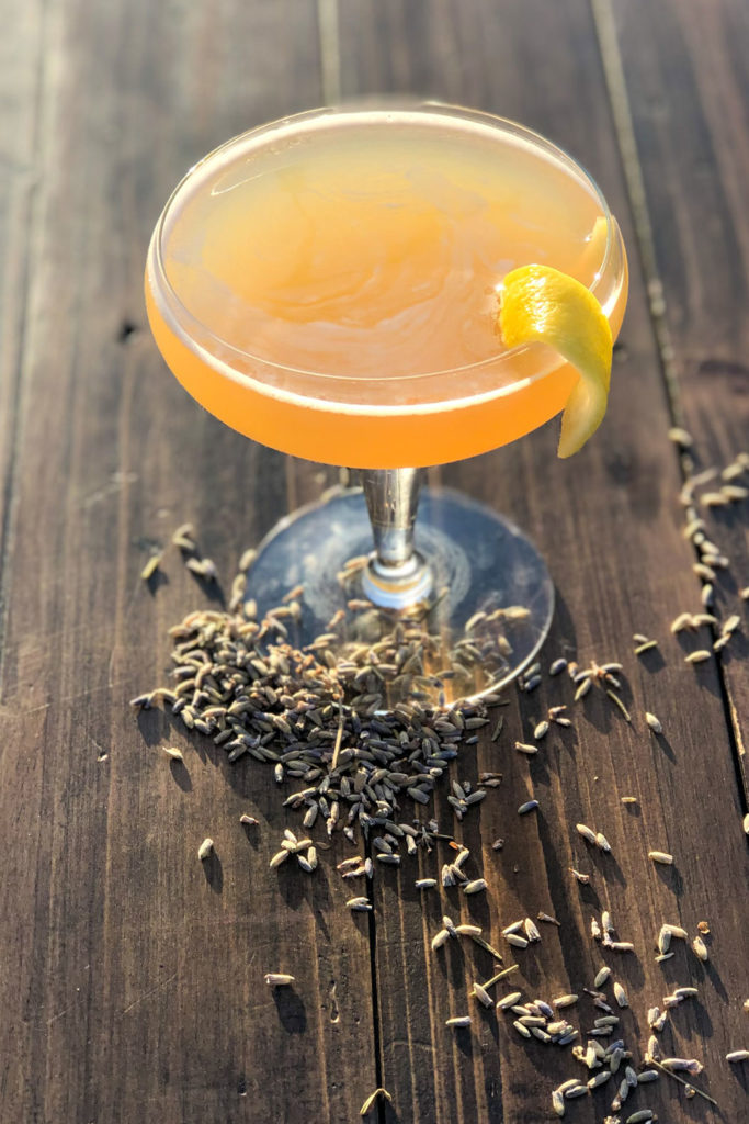 Bee's Knees Cocktail