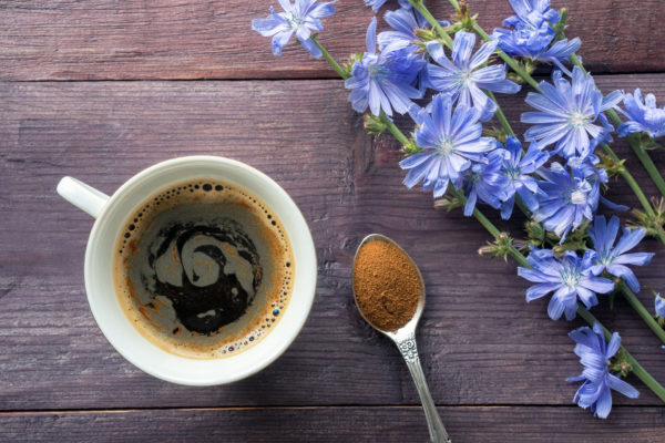 Chicory coffee