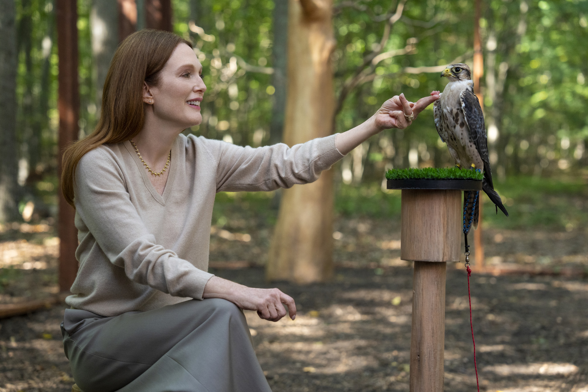 Julianne Moore in episode 104 of Sirens
