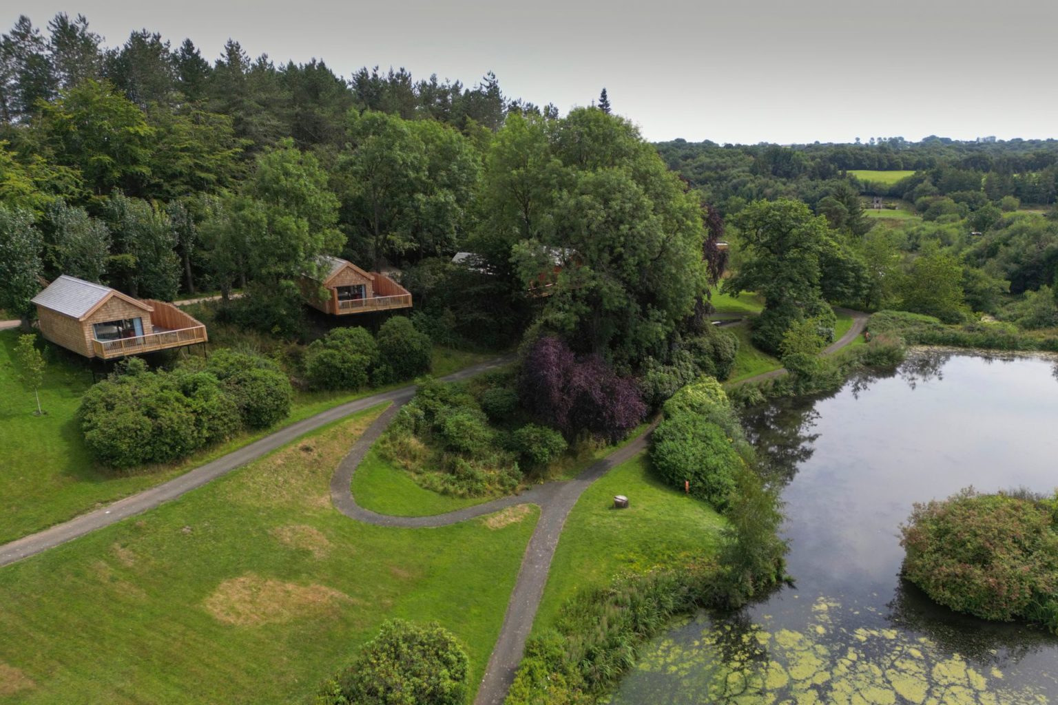 The Tawny Top main image 0