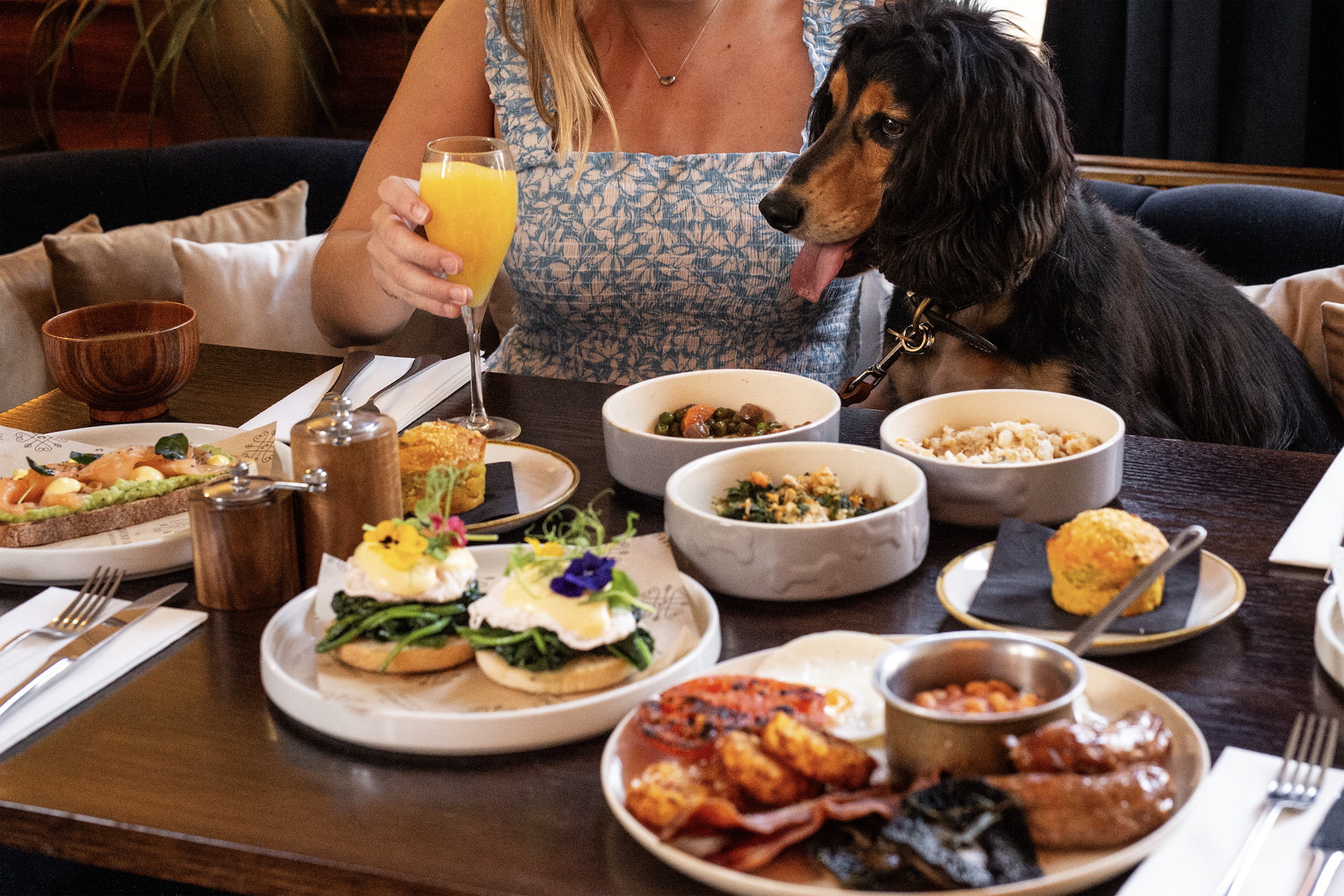 Doggy brunch at The Cavendish