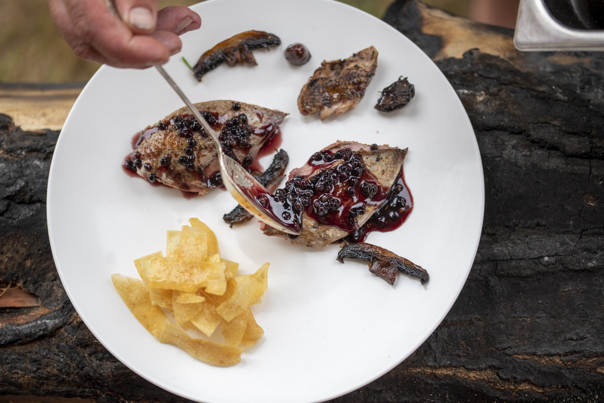 Grouse with berries