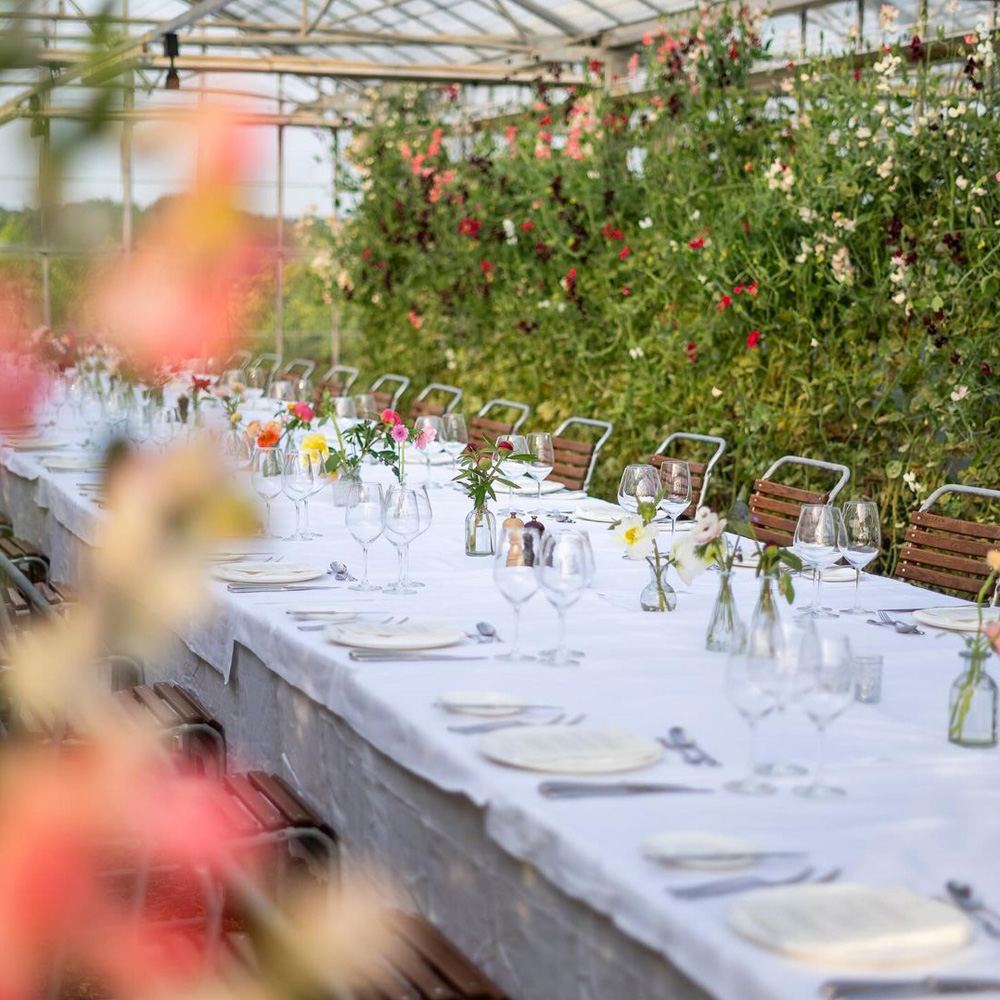 A long table surrounded by greenery