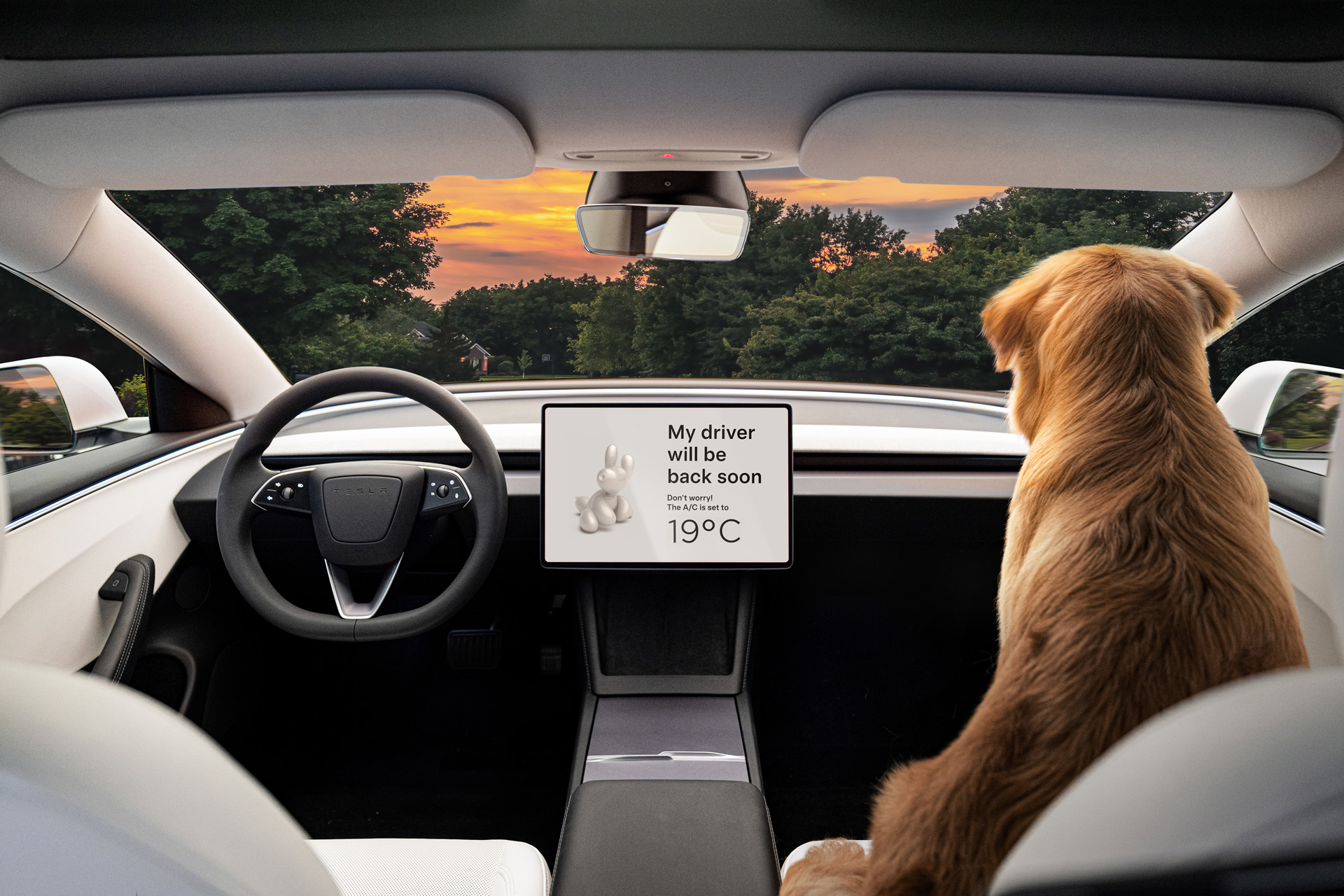 A dog sat in the Tesla Model 3