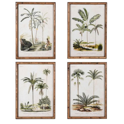Four palm tree prints in wooden frames