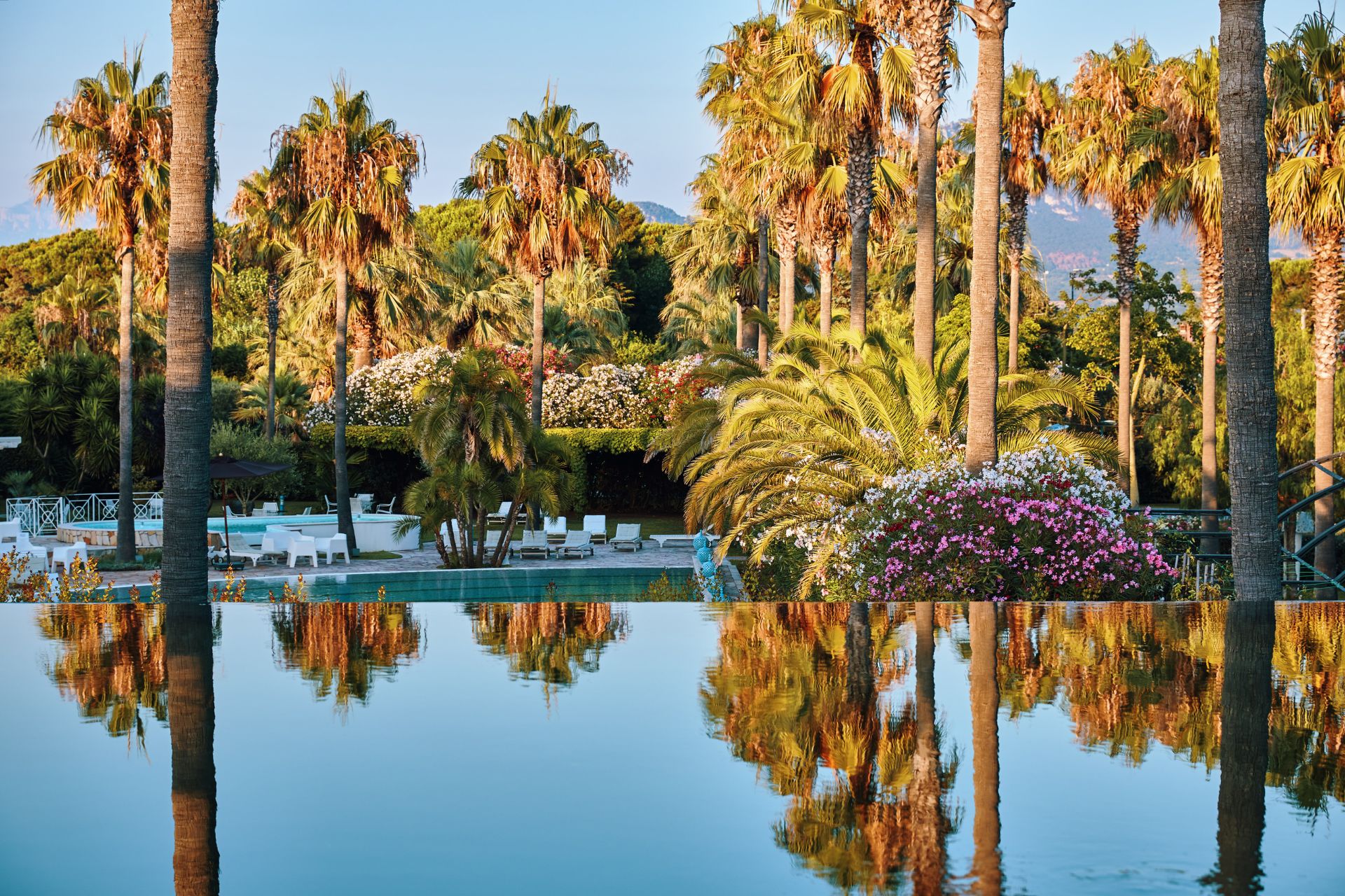 Infinity pool bordered by flowers and palm trees