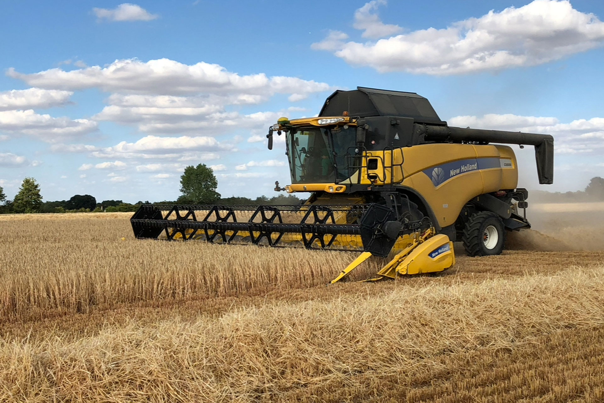 Combine harvester on a farm