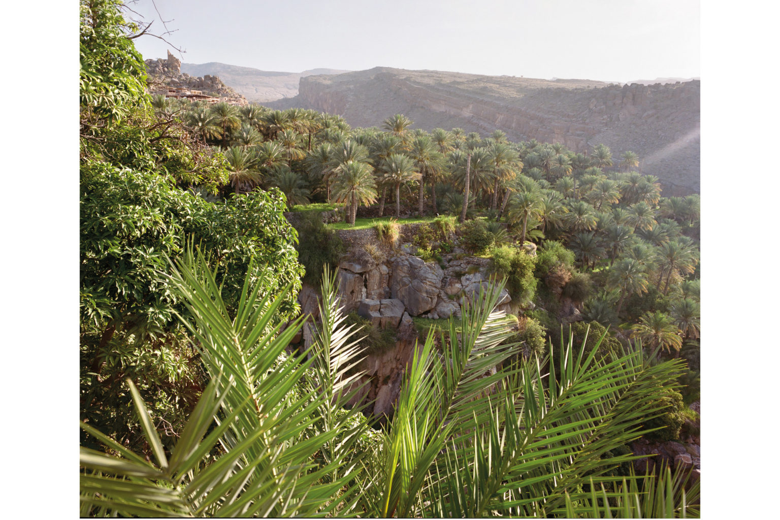 Round The Ragged Rocks Of Northern Oman | Travel