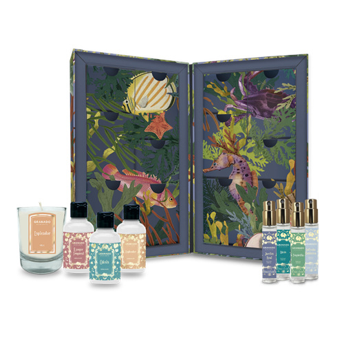 Marine-inspired advent calendar