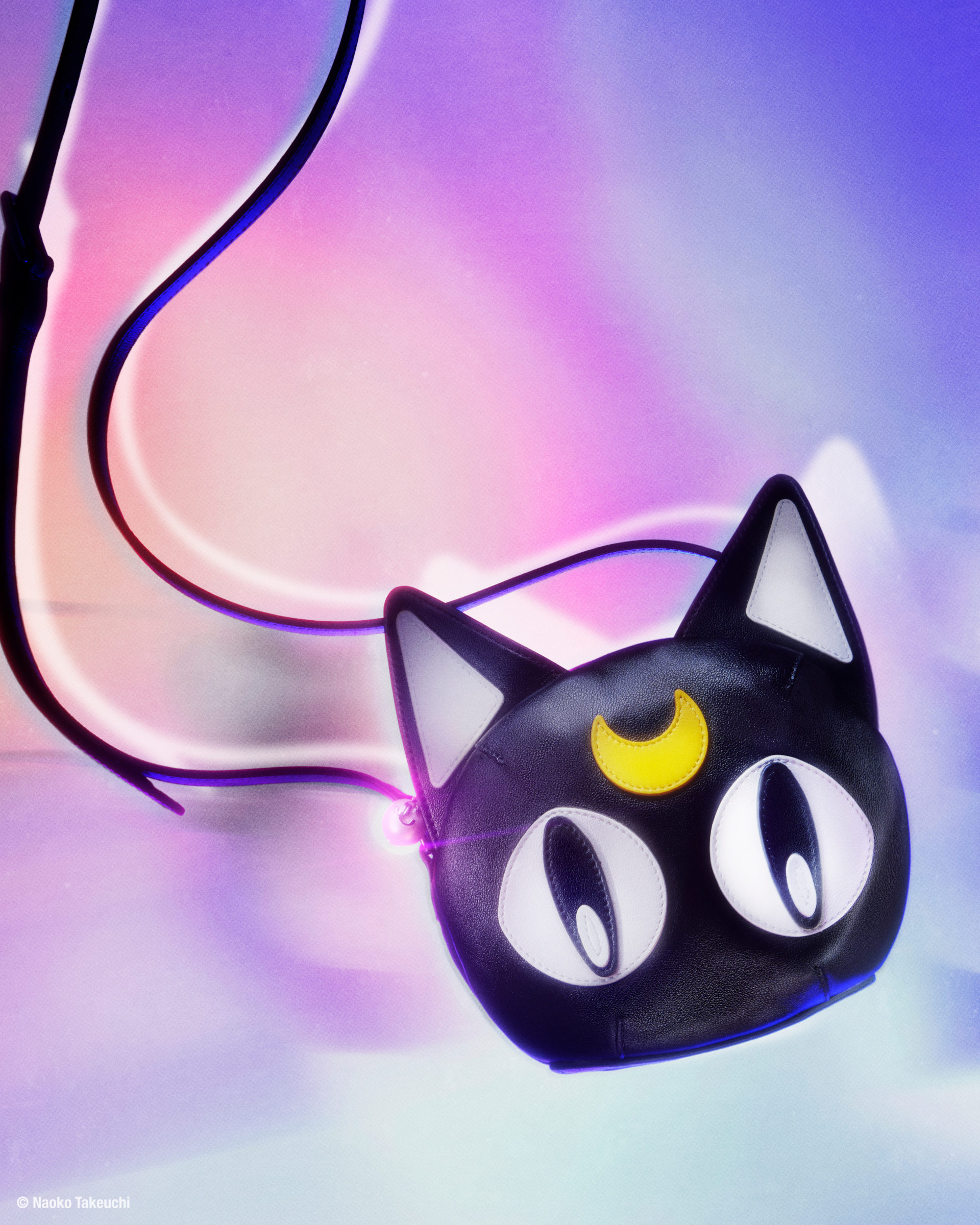 Black cat bag with purple background