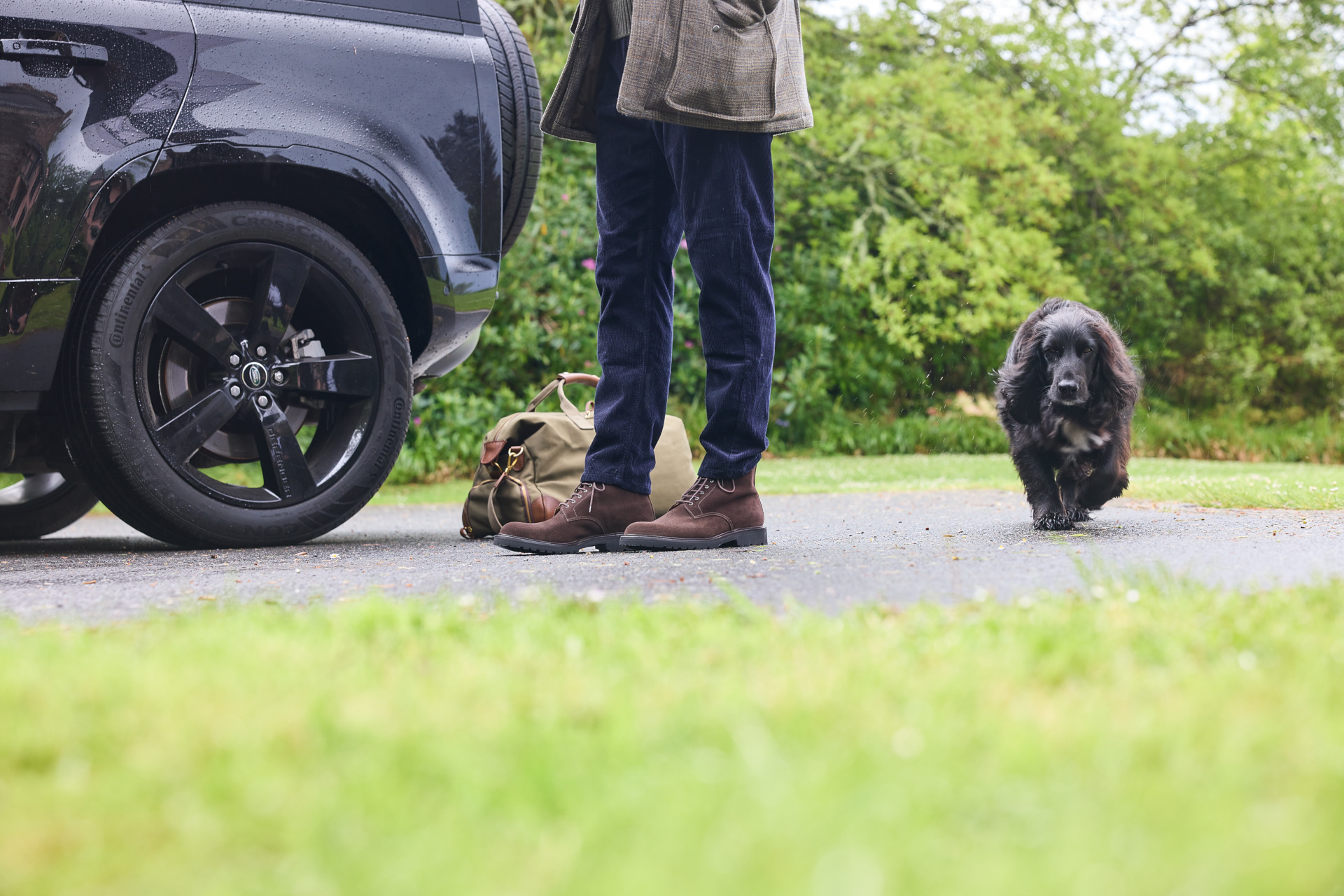 Close up of legs next to car and dog on driveway