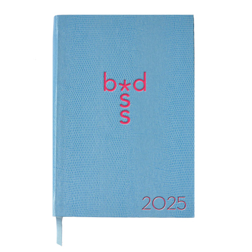 Blue and pink book