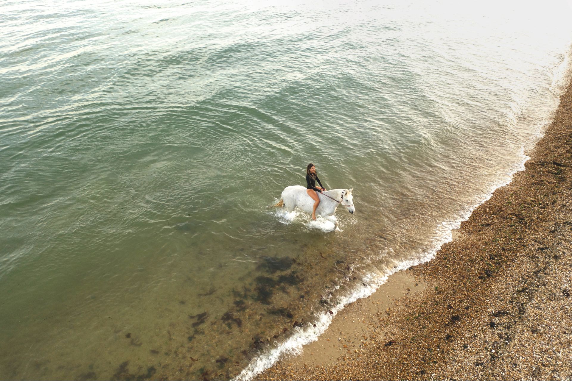 Fee Drummond riding a grey horse in the sea