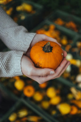 Person holding a mini pumpkin