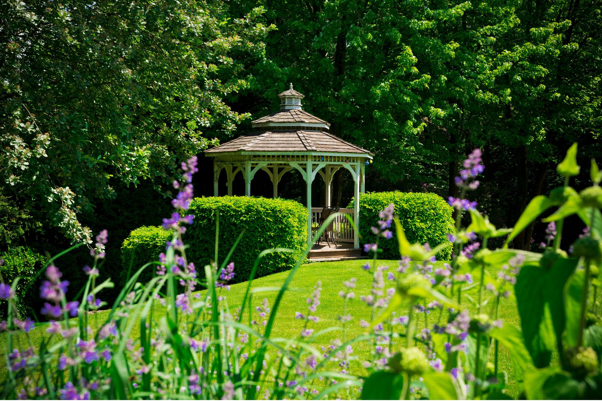 Garden with lavender and pergola