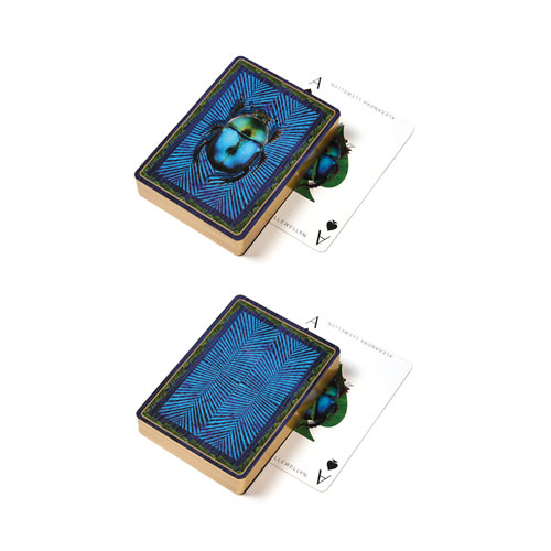 Alexandra Llewellyn playing cards